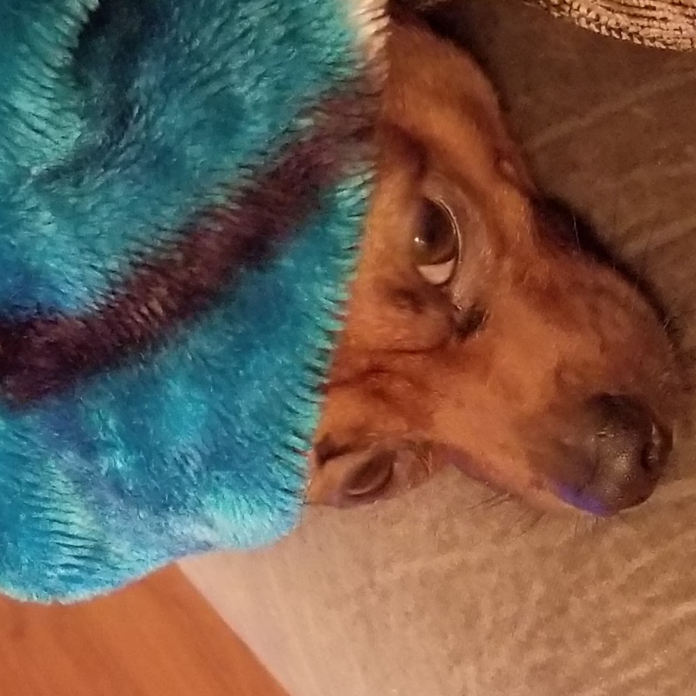 Meet your Posher, Kristy